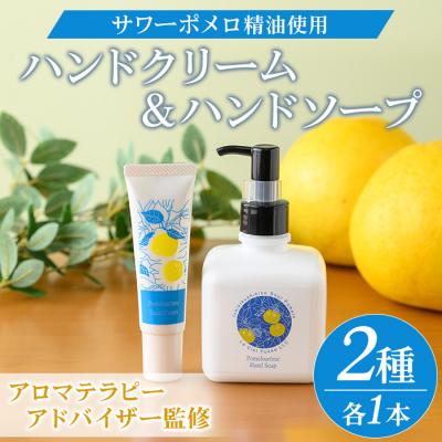 ふるさと納税 いちき串木野市 サワーポメロ ハンドクリーム 30g×1本 と ハンドソープ 200ml×1本
