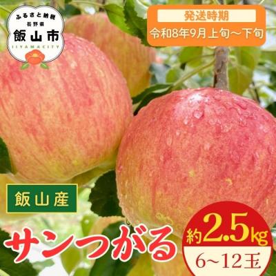 ふるさと納税 飯山市 [先行予約〓2026年9月上旬より順次発送]サンつがる[約2.5kg(6〜12玉)]