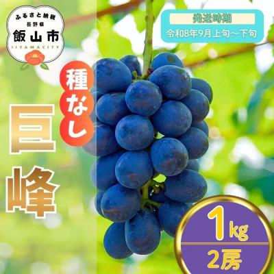 ふるさと納税 _飯山市 [先行予約〓2026年9月上旬より順次発送]種なし巨峰[約1kg(2房あたり)]