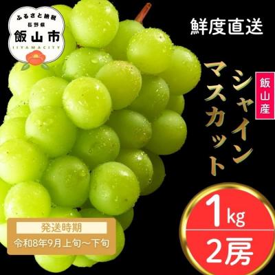 ふるさと納税 _飯山市 [先行予約〓2026年9月上旬より順次発送]シャインマスカット[約1kg (2房)]