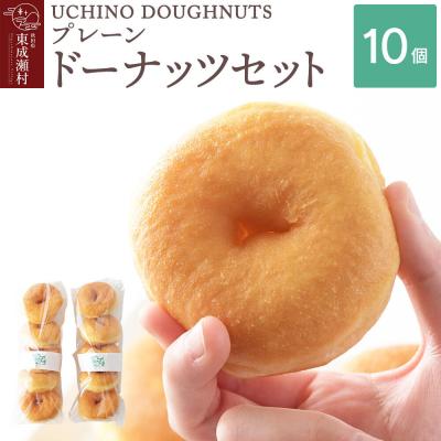 ふるさと納税 東成瀬村 プレーン ドーナッツ 10個セット ドーナツ 冷凍 国産小麦|07_udn-021001