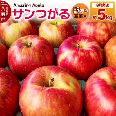 ふるさと納税 弘前市 [26年9月発送]りんご サンつがる[訳あり]家庭用 約5kg|24_cmn-170501e
