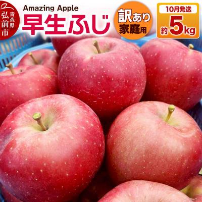 ふるさと納税 弘前市 [26年10月発送]りんご 早生ふじ[訳あり]家庭用 約5kg|24_cmn-180501f