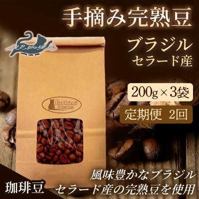 ふるさと納税 福島市 [2回定期便]珈琲 手摘み完熟豆 ブラジル・セラード産 200g×3袋No.3282