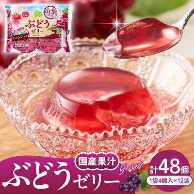ふるさと納税 東根市 ぶどうゼリー 1袋4個入×12袋 和歌山産業提供 山形県 東根市 hi070-014