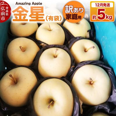 ふるさと納税 弘前市 [26年12月発送]りんご 金星(有袋)[訳あり]家庭用 約5kg|24_cmn-100501c