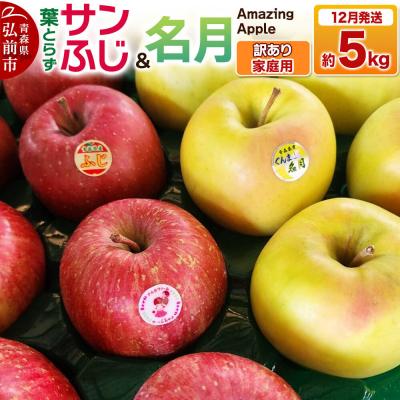 ふるさと納税 弘前市 りんご 葉取らずサンふじ&amp;名月 詰め合わせ[訳あり]家庭用 約5kg|24_cmn-140501c