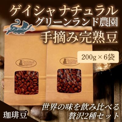 ふるさと納税 福島市 世界の味飲み比べ贅沢2種 200g×6袋No.3289