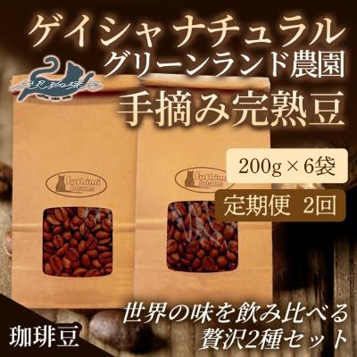 ふるさと納税 福島市 [2回定期便]世界の味飲み比べ贅沢2種[豆]200g×6袋No.3290