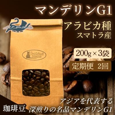 ふるさと納税 福島市 [2回定期便]珈琲 マンデリンG1 アラビカ種 スマトラ産 200g×3袋No.3294