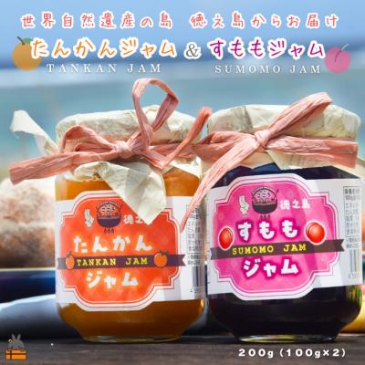 ふるさと納税 徳之島町 徳之島産フルーツ使用!低糖度の徳之島完熟たんかんジャム&amp;すももジャム(100g×2)