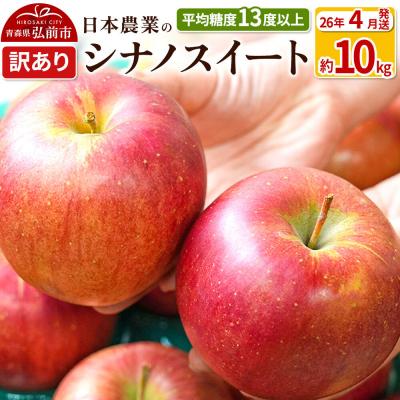 ふるさと納税 弘前市 りんご シナノスイート 約10kg 訳あり CA貯蔵|24_nng-071001ak