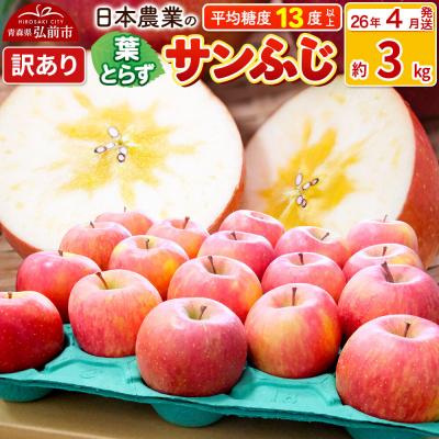 ふるさと納税 弘前市 りんご 葉とらずサンふじ 約3kg 訳あり[CA貯蔵]|24_nng-130301ak