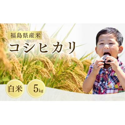 ふるさと納税 南相馬市 [先行予約]令和8年産 コシヒカリ 白米 5kg |こしひかり 米 こめ 大粒 サムランド