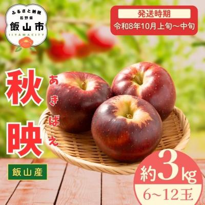 ふるさと納税 飯山市 [先行予約〓2026年10月上旬より順次発送]秋映[約3kg (6〜12玉)]