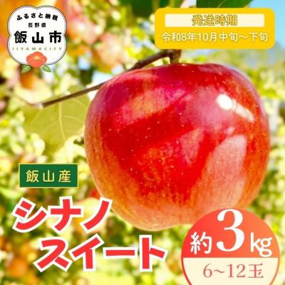 ふるさと納税 飯山市 [先行予約〓2026年10月中旬より順次発送]シナノスイート[約3kg (6〜12玉)]