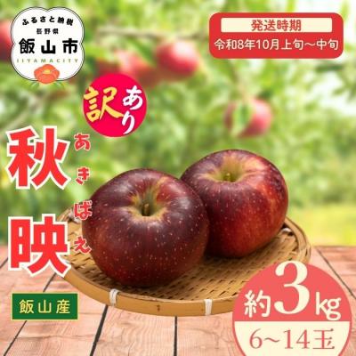 ふるさと納税 飯山市 [先行予約〓2026年10月上旬より順次発送]訳あり 秋映[約3kg(6〜14玉)]