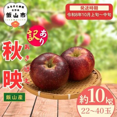 ふるさと納税 飯山市 [先行予約〓2026年10月上旬より順次発送]訳あり 秋映[約10kg (22〜40玉)]