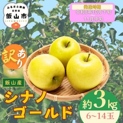 ふるさと納税 飯山市 [先行予約〓2026年10月下旬より順次発送]訳あり シナノゴールド[約3kg(6〜14玉)]