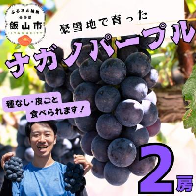 ふるさと納税 飯山市 [先行予約] ナガノパープル 2房 (約1kg) [ 2026年10月〜発送 ]