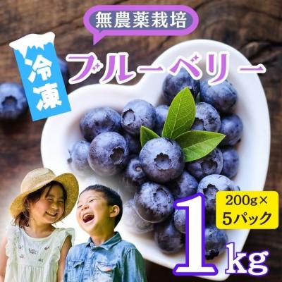 ふるさと納税 _飯山市 [2026年発送 先行予約]<冷凍> 完熟 ブルーベリー 姫 1kg [ 2026年7月より発送]