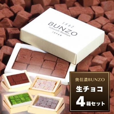 ふるさと納税 飯山市 [生チョコの生みの親小林正和による手作り] 生チョコ 4箱セット