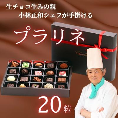 ふるさと納税 _飯山市 [生チョコの生みの親小林正和による手作り]プラリネ(1粒チョコ)20個セット