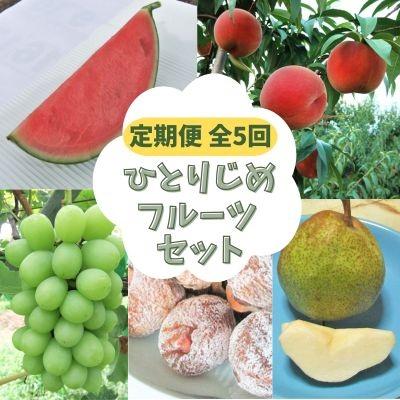 ふるさと納税 上山市 [定期便:全5回]ひとりじめフルーツセット