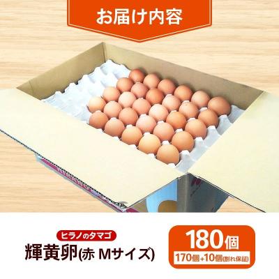 ふるさと納税 筑前町 ヒラノのたまご【輝黄卵(きおうらん)】赤Mサイズ　180個【価格改定】 |  | 03