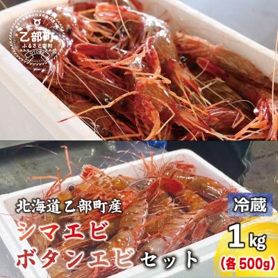 ふるさと納税 乙部町 <ボタンエビ・シマエビ(冷蔵) 1kg(各500g)>北海道乙部町産 産地直送