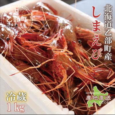ふるさと納税 乙部町 <シマエビ(冷蔵) 1kg>甘く濃厚な味わい! 北海道 道産 国産 乙部町産 しまえび 海老 日本海