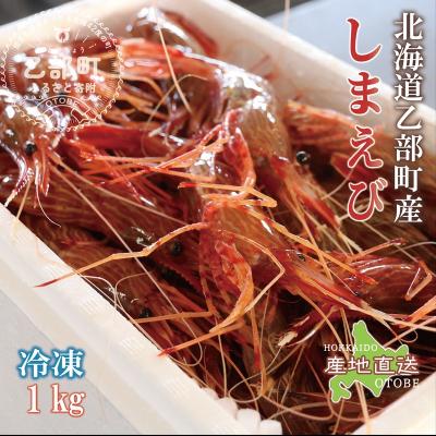 ふるさと納税 乙部町 <シマエビ(冷凍) 1kg>甘く濃厚な味わい! 北海道 道産 国産 乙部町産 しまえび 海老 日本海
