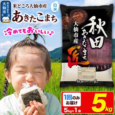 ふるさと納税 _大仙市 米[白米] あきたこまち 5kg 令和7年産|22_snk-010501