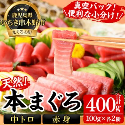 ふるさと納税 いちき串木野市 天然 本マグロ 中トロ 100g×2 赤身 100g×2 計400g 便利な真空小分け