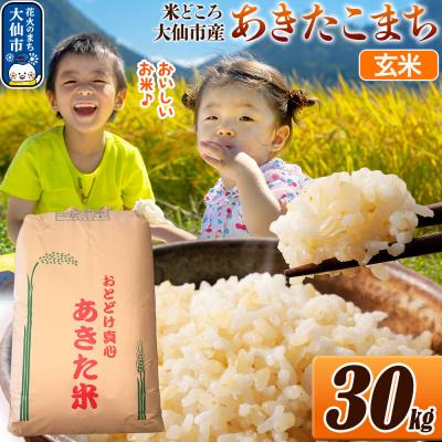 ふるさと納税 大仙市 米 令和7年産[玄米]30kg(30kg×1袋)|22_ssn-023001