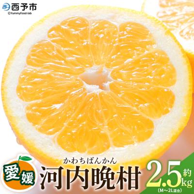 ふるさと納税 西予市 <愛媛県産 河内晩柑 約2.5kg>柑橘 みかん オレンジとムラサキ 愛媛