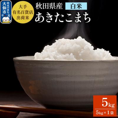 ふるさと納税 大仙市 5kg大手有名百貨店出荷米 あきたこまち[白米]令和7年産|22_trp-110501