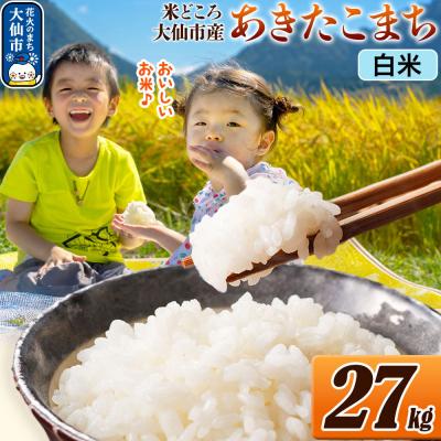 ふるさと納税 _大仙市 米 あきたこまち[白米]令和7年産 27kg(27kg×1袋)|22_ssn-062701h