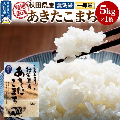 ふるさと納税 _大仙市 米 令和7年産 秋田県産あきたこまち 一等米 農家直送 無洗米5kg|22_uot-030501