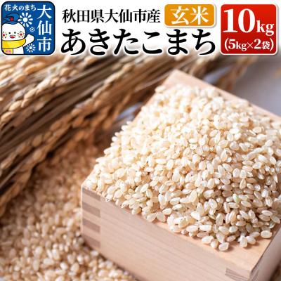ふるさと納税 大仙市 米[令和7年産]あきたこまち 玄米 10kg|22_yss-021001