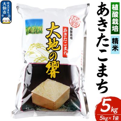 ふるさと納税 _大仙市 植酸栽培 あきたこまち「大地の響」5kg[精米]令和7年産|22_aks-210501