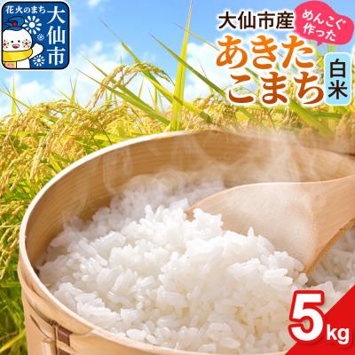 ふるさと納税 _大仙市 米 あきたこまち 白米 5kg 伊藤精米店|22_its-010501