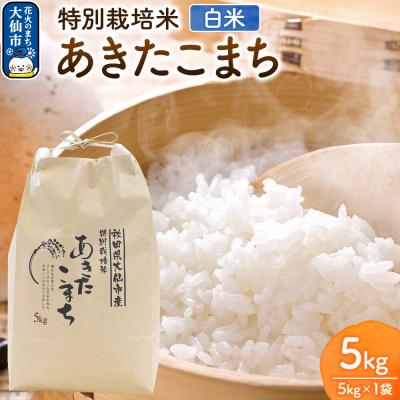 ふるさと納税 大仙市 米 特別栽培米 あきたこまち[精白米]5kg×1袋産|22_rsm-220101