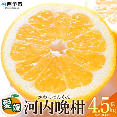 ふるさと納税 西予市 <愛媛県産 河内晩柑 約4.5kgM〜2L> 農園オレンジとムラサキ 愛媛