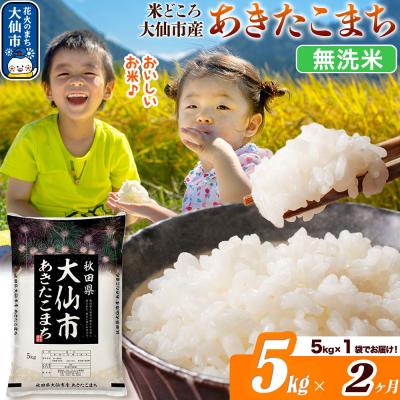 ふるさと納税 大仙市 米[2ヶ月]あきたこまち[無洗米] あきたこまち5kg|22_ssn-030502