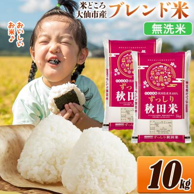 ふるさと納税 大仙市 米 ブレンド米 令和7年産[無洗米]10kg|22_ssn-041001m