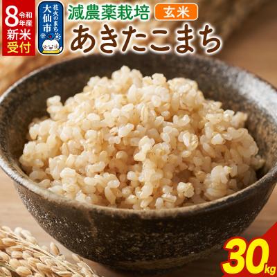 ふるさと納税 大仙市 [令和8年産 新米受付]減農薬栽培 あきたこまち[玄米]30kg|22_kwb-013001