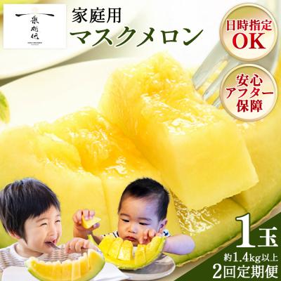 ふるさと納税 香南市 メロン 定期便 2回 1玉 家庭用 訳あり 青肉 Wtn-0057