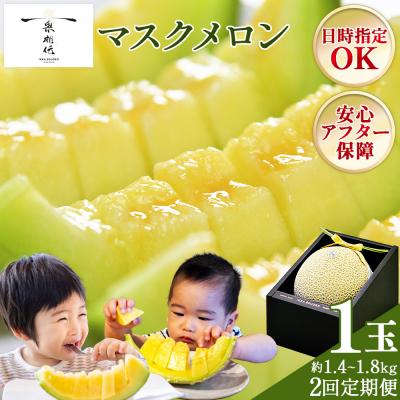 ふるさと納税 香南市 [2回定期便] 一果相伝マスクメロン 1玉 贈答用 Wtn-0058
