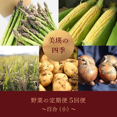 ふるさと納税 美瑛町 野菜の定期便[百合]5回便[令和8年産先行受付!] 美瑛の四季